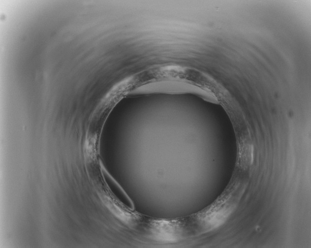 X0000087550239200705041336