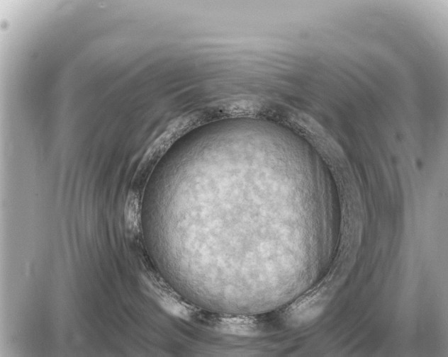 X0000087550240200705041336