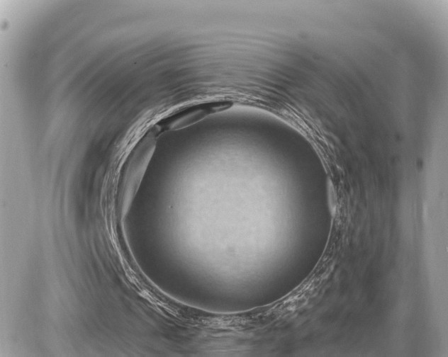 X0000087550241200705041335