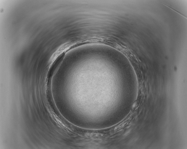 X0000087550242200705041335