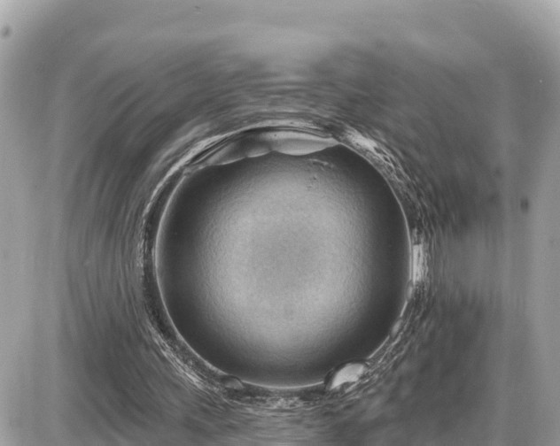 X0000087550243200705041335