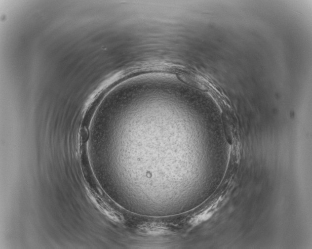 X0000087550244200705041335