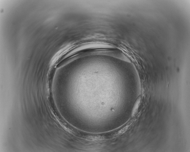 X0000087550245200705041335