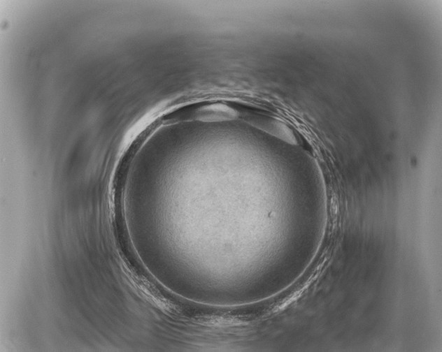 X0000087550246200705041335