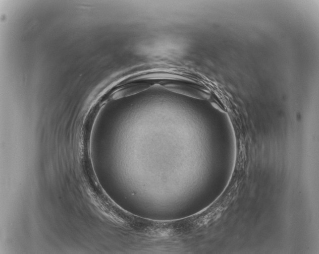 X0000087550247200705041335