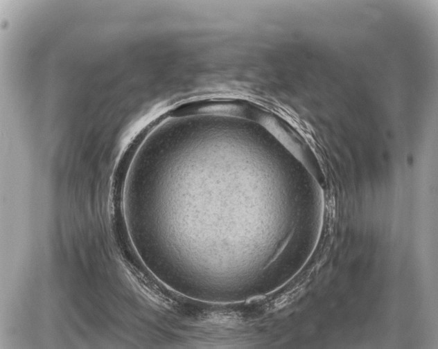 X0000087550248200705041335