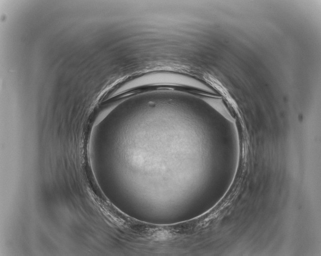 X0000087550249200705041335