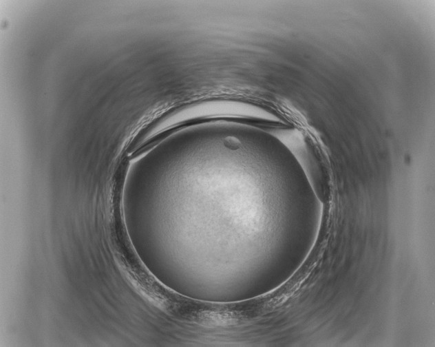 X0000087550250200705041335