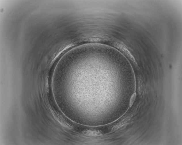 X0000087550251200705041335