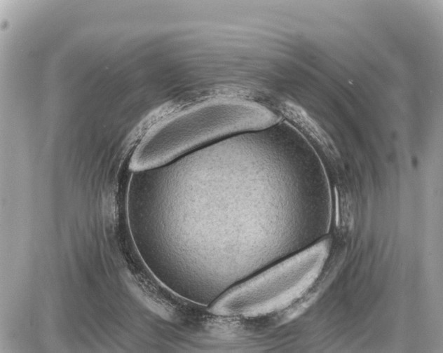 X0000087550252200705041335