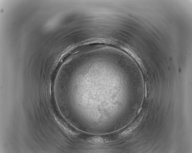 X0000087550253200705041335