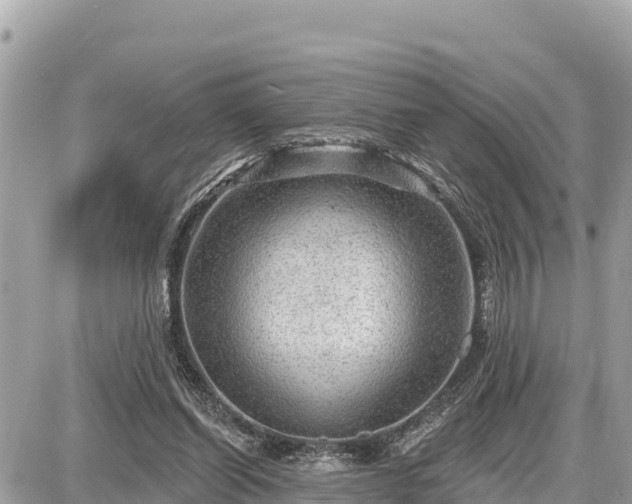 X0000087550254200705041335