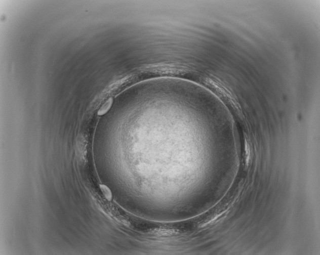 X0000087550255200705041335