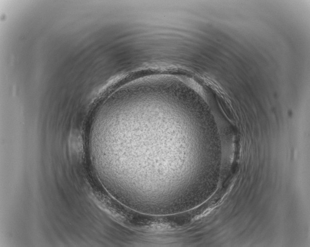 X0000087550256200705041335