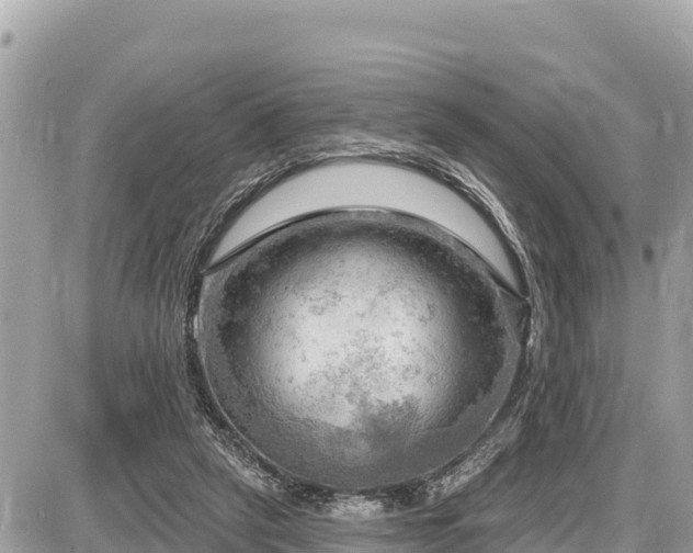 X0000087550257200705041335