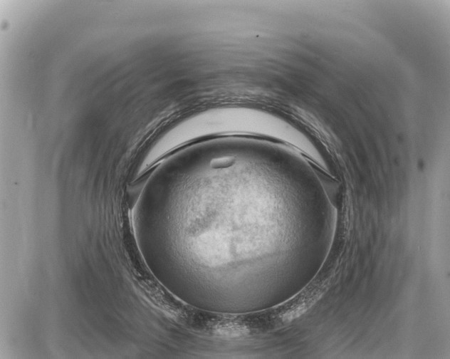 X0000087550258200705041335