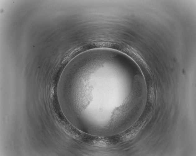 X0000087550259200705041335