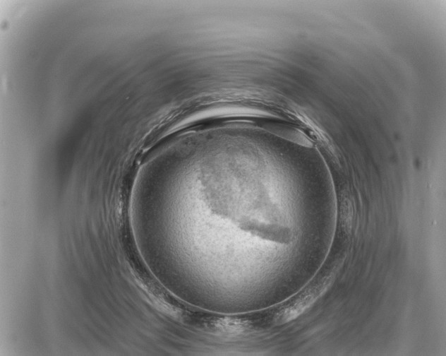 X0000087550261200705041335