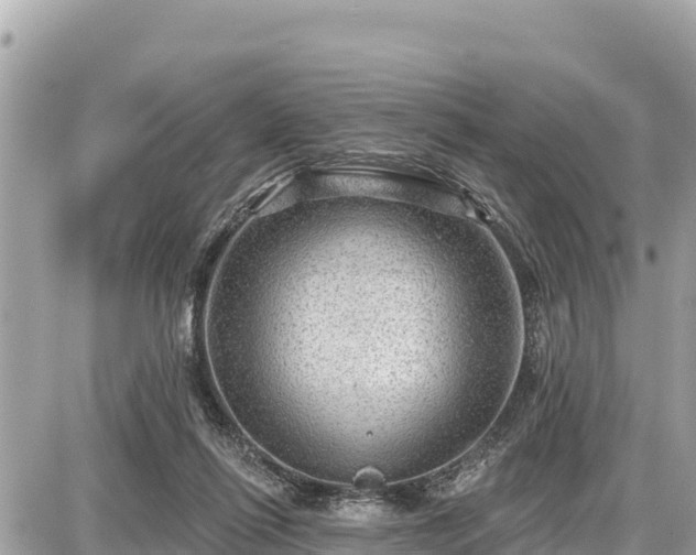 X0000087550262200705041335