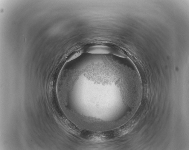 X0000087550263200705041335