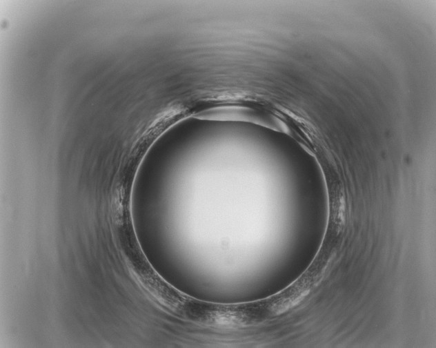 X0000087550264200705041335