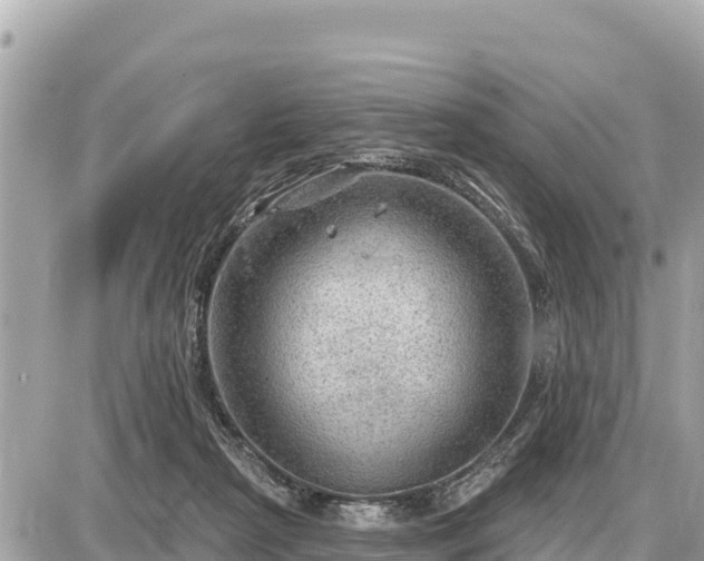 X0000087550265200705041335