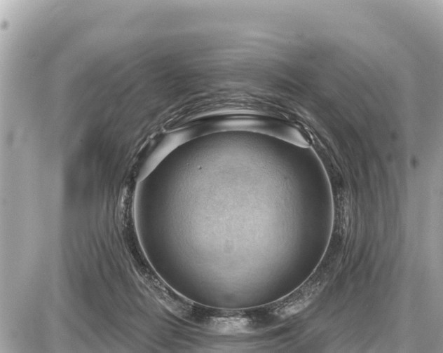 X0000087550266200705041335