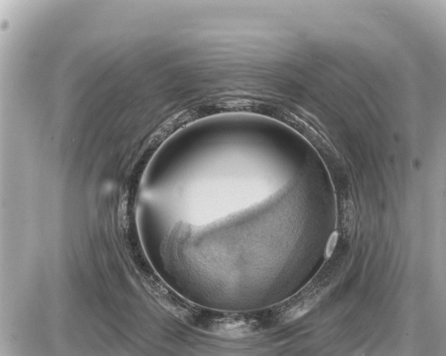 X0000087550267200705041335