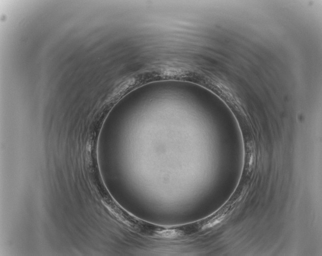 X0000087550269200705041335