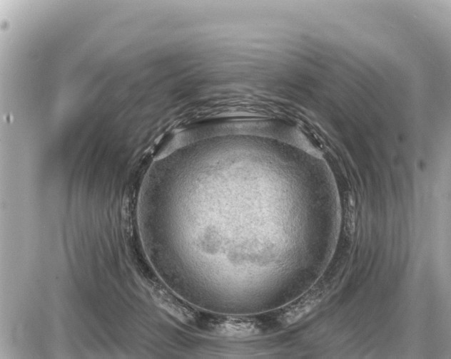 X0000087550270200705041335