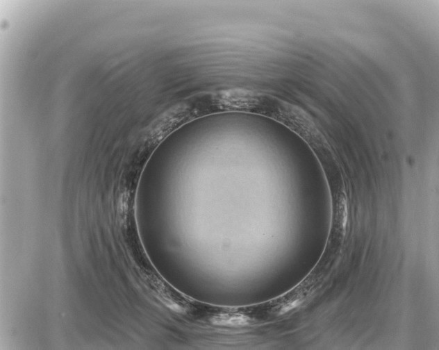 X0000087550271200705041335