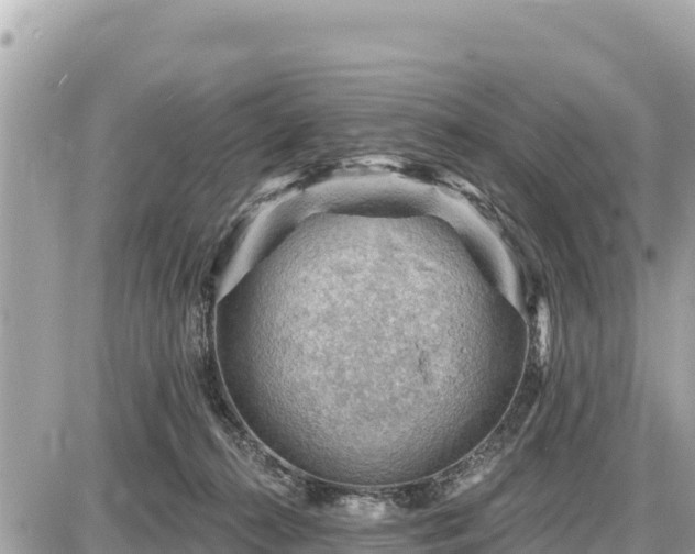 X0000087550272200705041335