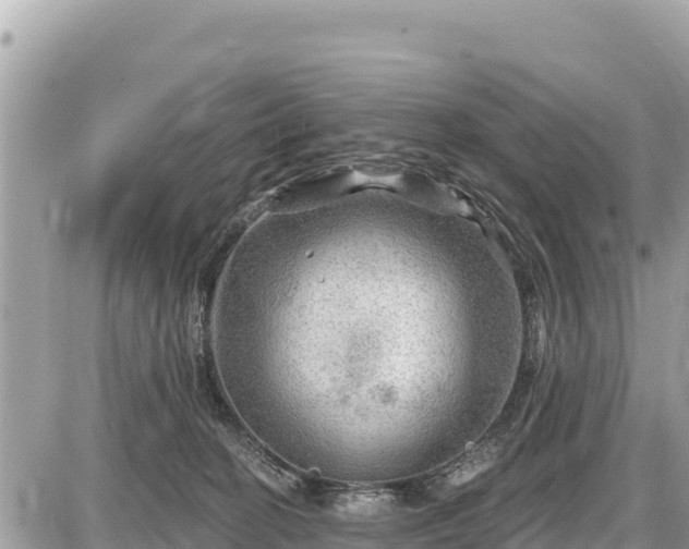 X0000087550274200705041335