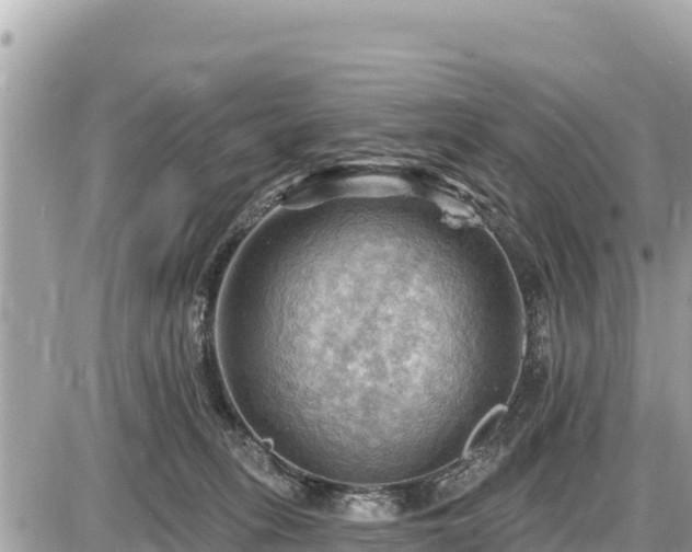 X0000087550275200705041335