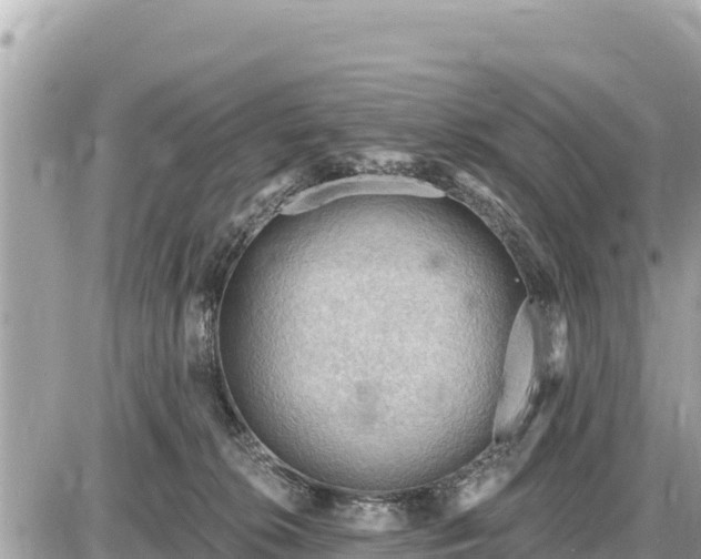 X0000087550276200705041335