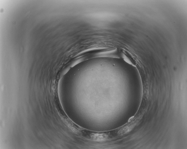 X0000087550277200705041335