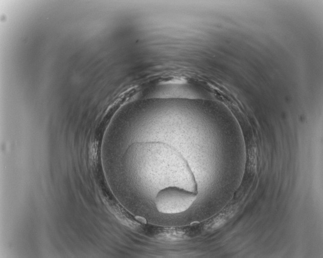 X0000087550278200705041335