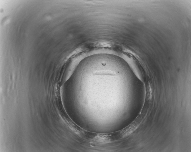 X0000087550280200705041335