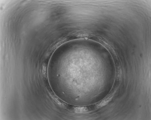 X0000087550281200705041335