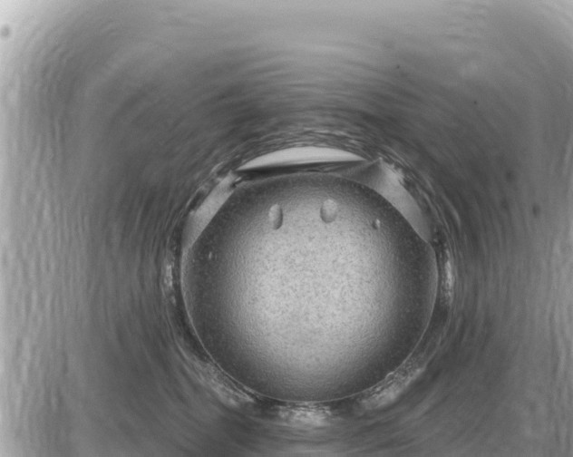 X0000087550282200705041335