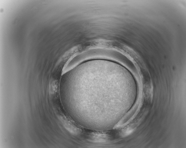 X0000087550284200705041335