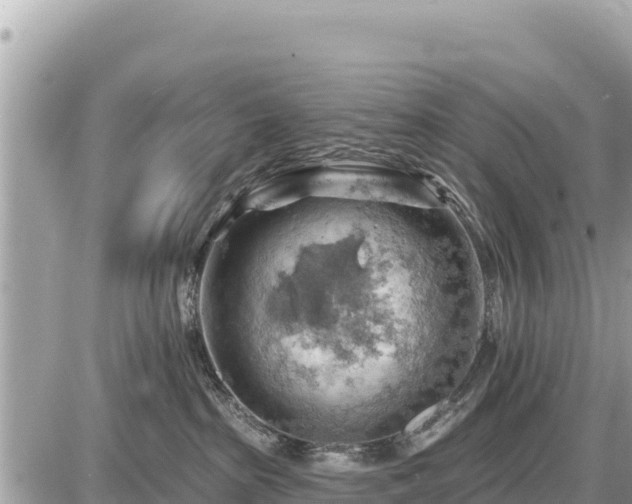 X0000087550285200705041335