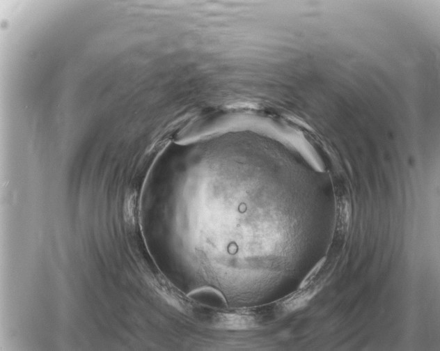 X0000087550286200705041335