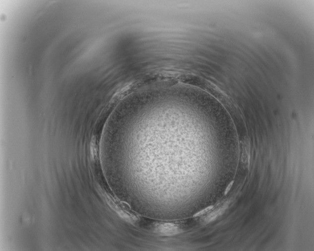 X0000087550287200705041335