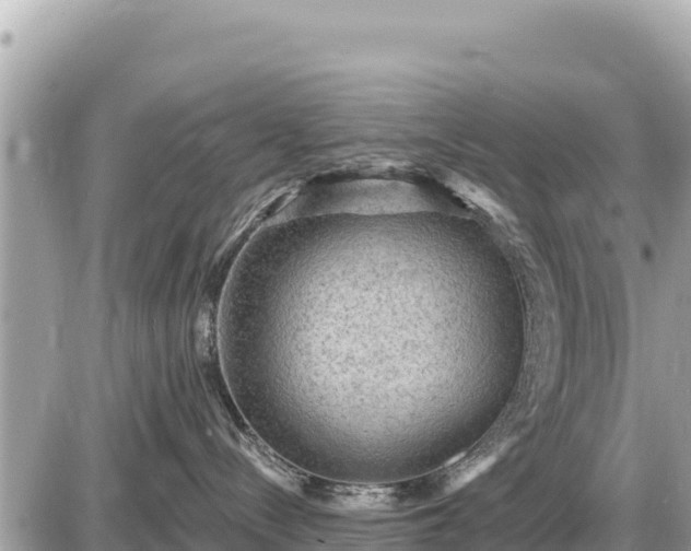 X0000087550288200705041336