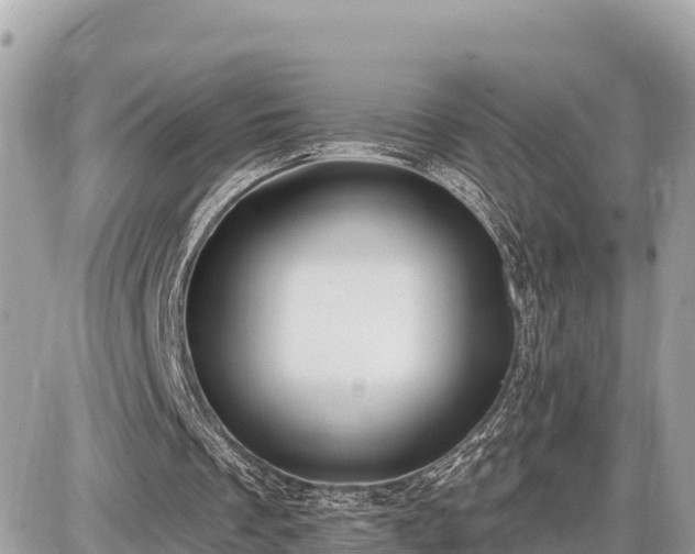 X0000087550289200705041335