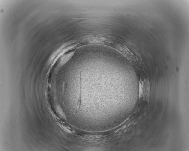 X0000087550291200705041335