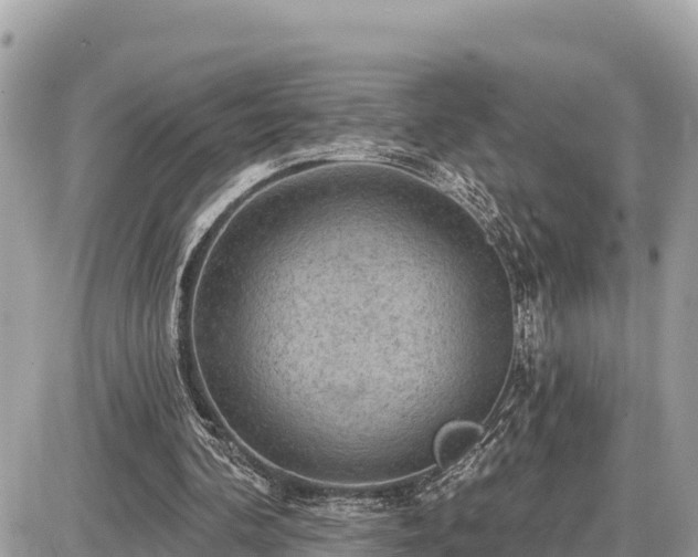 X0000087550292200705041335