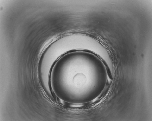 X0000087550293200705041335