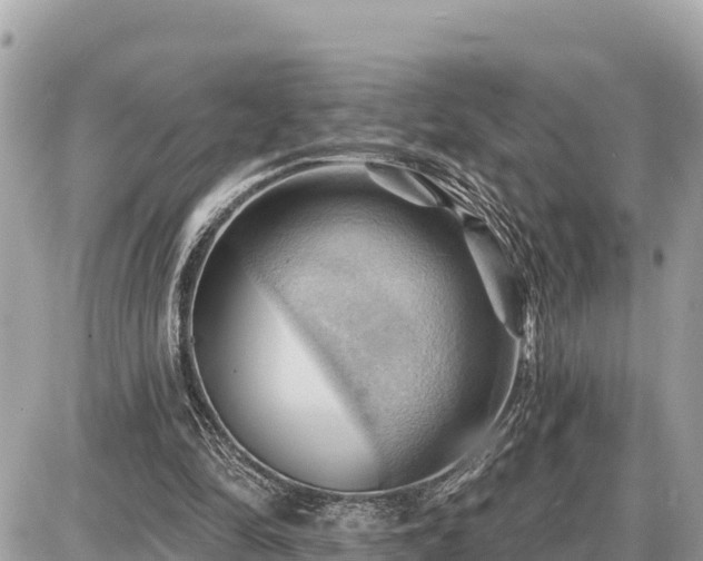 X0000087550294200705041335